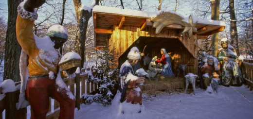 lainzer-tiergarten-vienna-passeggiate-invernali-natale