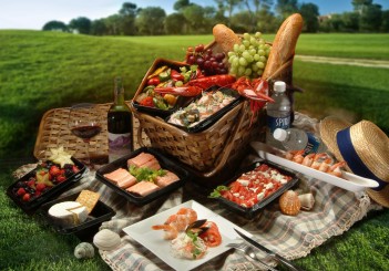 vienna-picnic-primo-maggio-evento-italiani-vienna