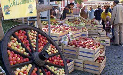 mercato-contadini-prodotti-biologici-locali-vienna